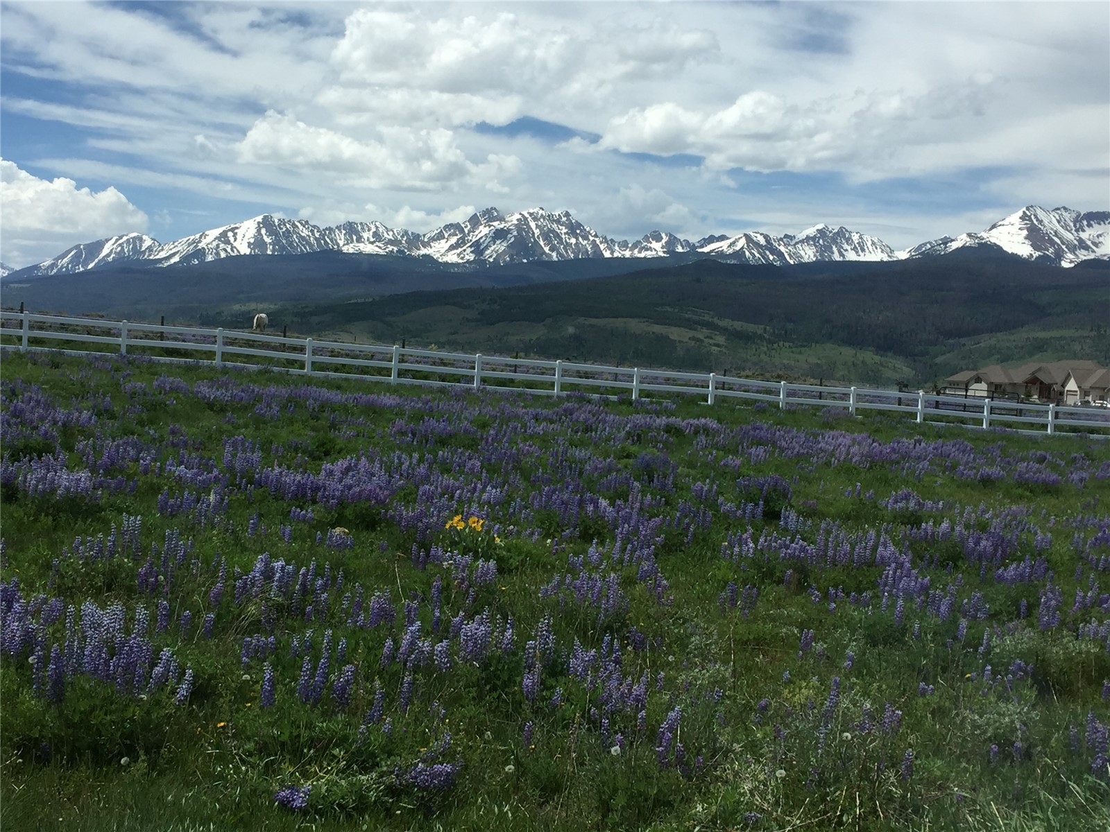 178 Lindstrom Road Silverthorne, CO 80498 - Photo 35 of 39 Gallery Image 35