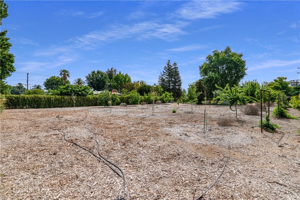 4808 Rubidoux Avenue Riverside, CA 92504 - Photo 1 of 1 a view of a dry yard with trees