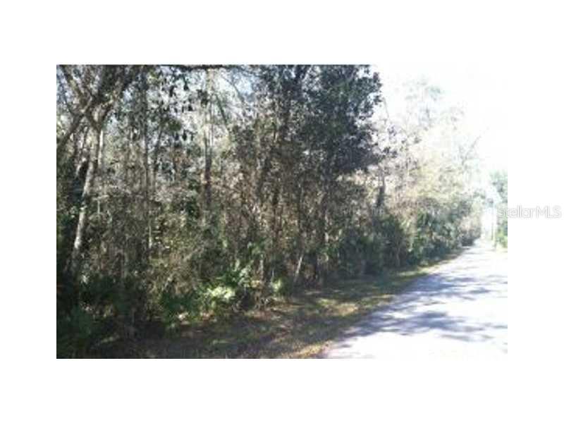 11376 Chalk Farm Road Spring Hill, FL 34609 - Photo 1 of 1 Land/Lot