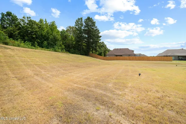 $371,000 | 555 Emma Cove, Nesbit, MS 38651