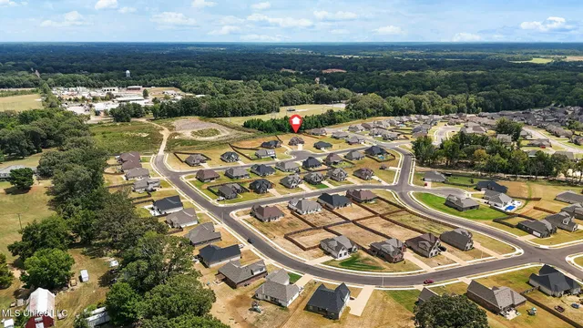 $371,000 | 555 Emma Cove, Nesbit, MS 38651