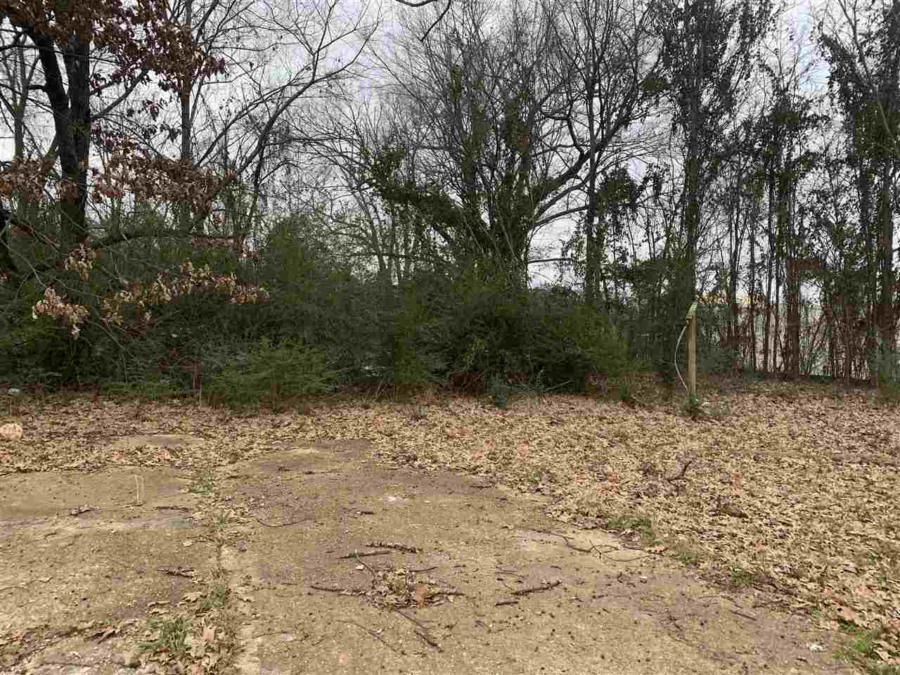 1736 East Alcy Road Memphis, TN 38114 - Photo 2 of 9 Gallery Image 2