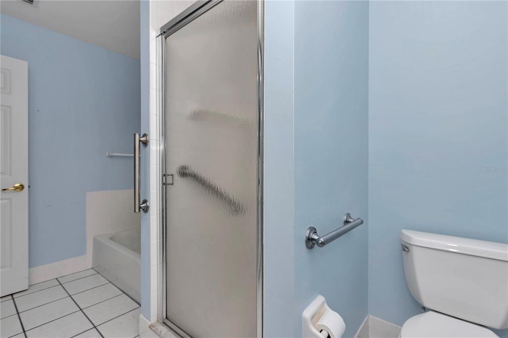 6793 Southwest 111th Loop Ocala, FL 34476 - Photo 42 of 47 5 piece main bath