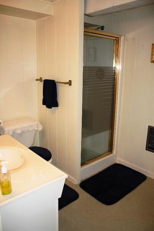 1130 Persinger Road Southwest Roanoke, VA 24015 - Photo 17 of 24 Full Bath