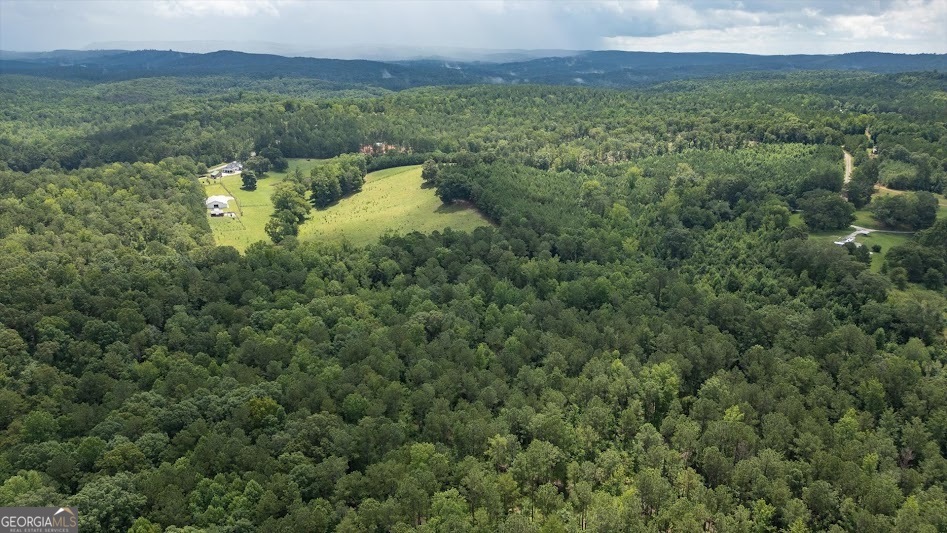 0 County Road 19 Heflin, AL 36264 - Photo 24 of 36
