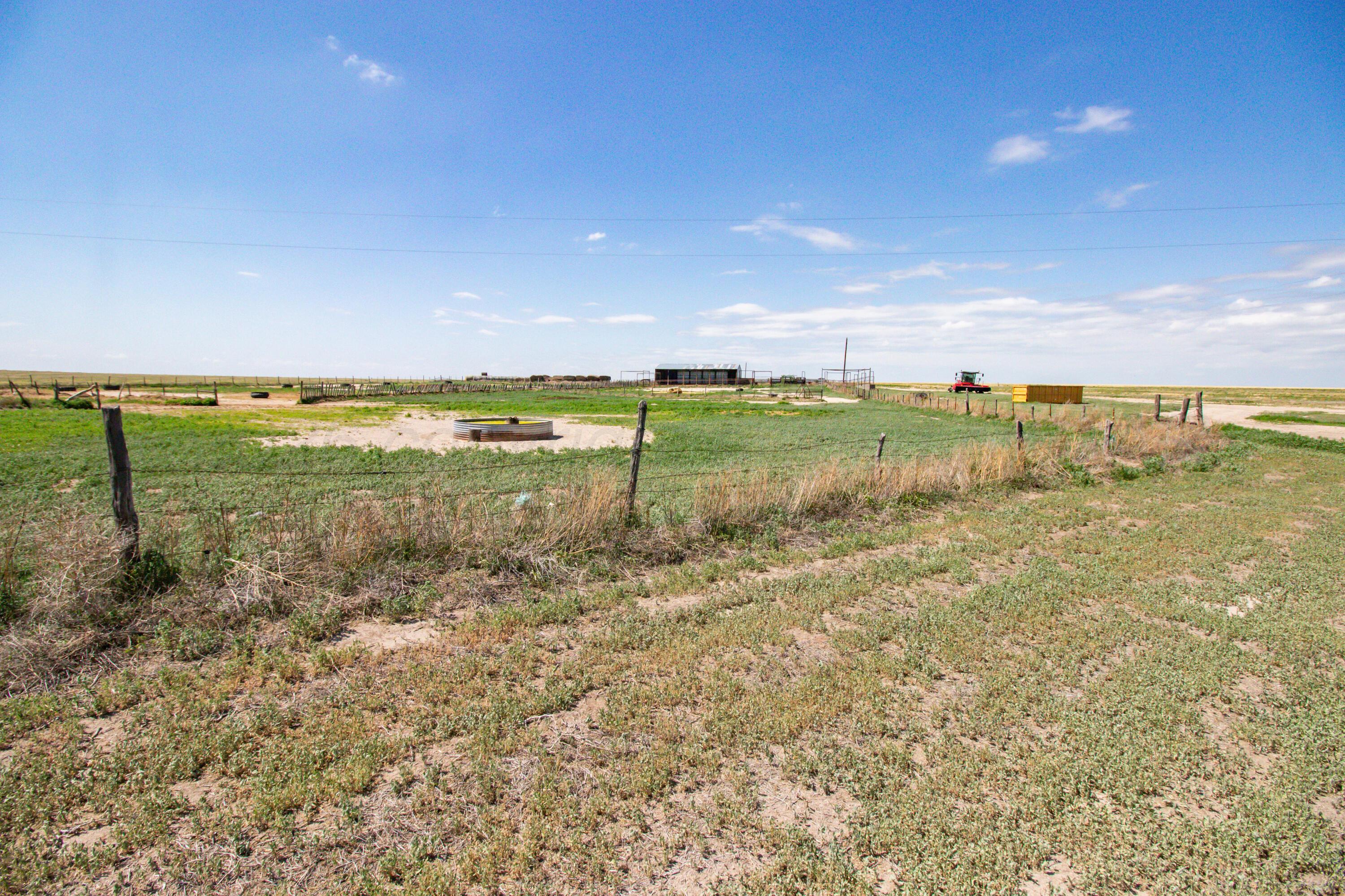 Baskin Ranch Stratford, TX 79084 - Photo 86 of 99 05