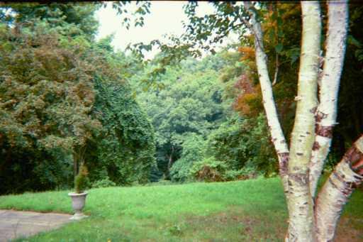 523 Guyasuta Road Aspinwall, PA 15215 - Photo 8 of 8 Gallery Image 8