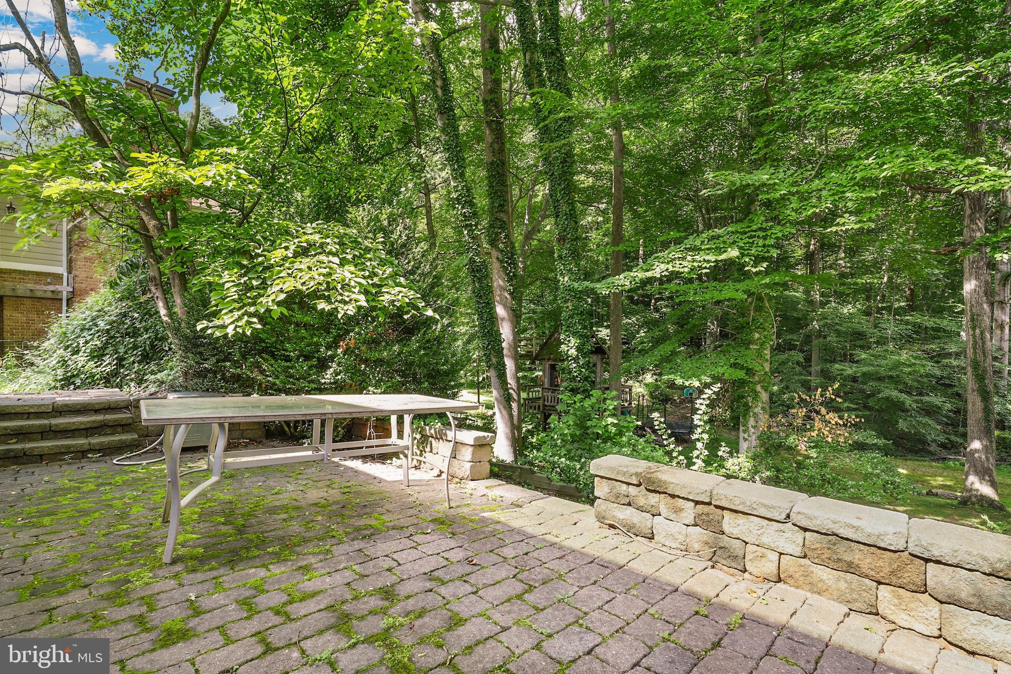 6608 Red Jacket Road Springfield, VA 22152 - Photo 56 of 61