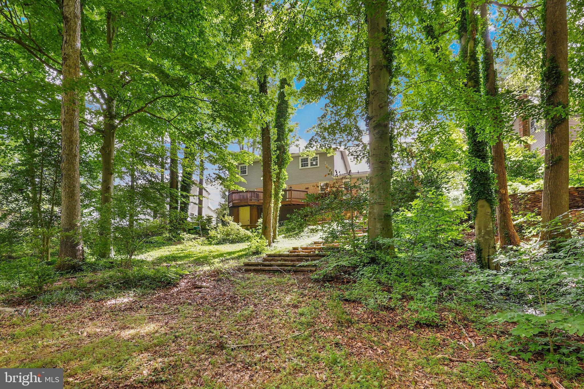 6608 Red Jacket Road Springfield, VA 22152 - Photo 58 of 61