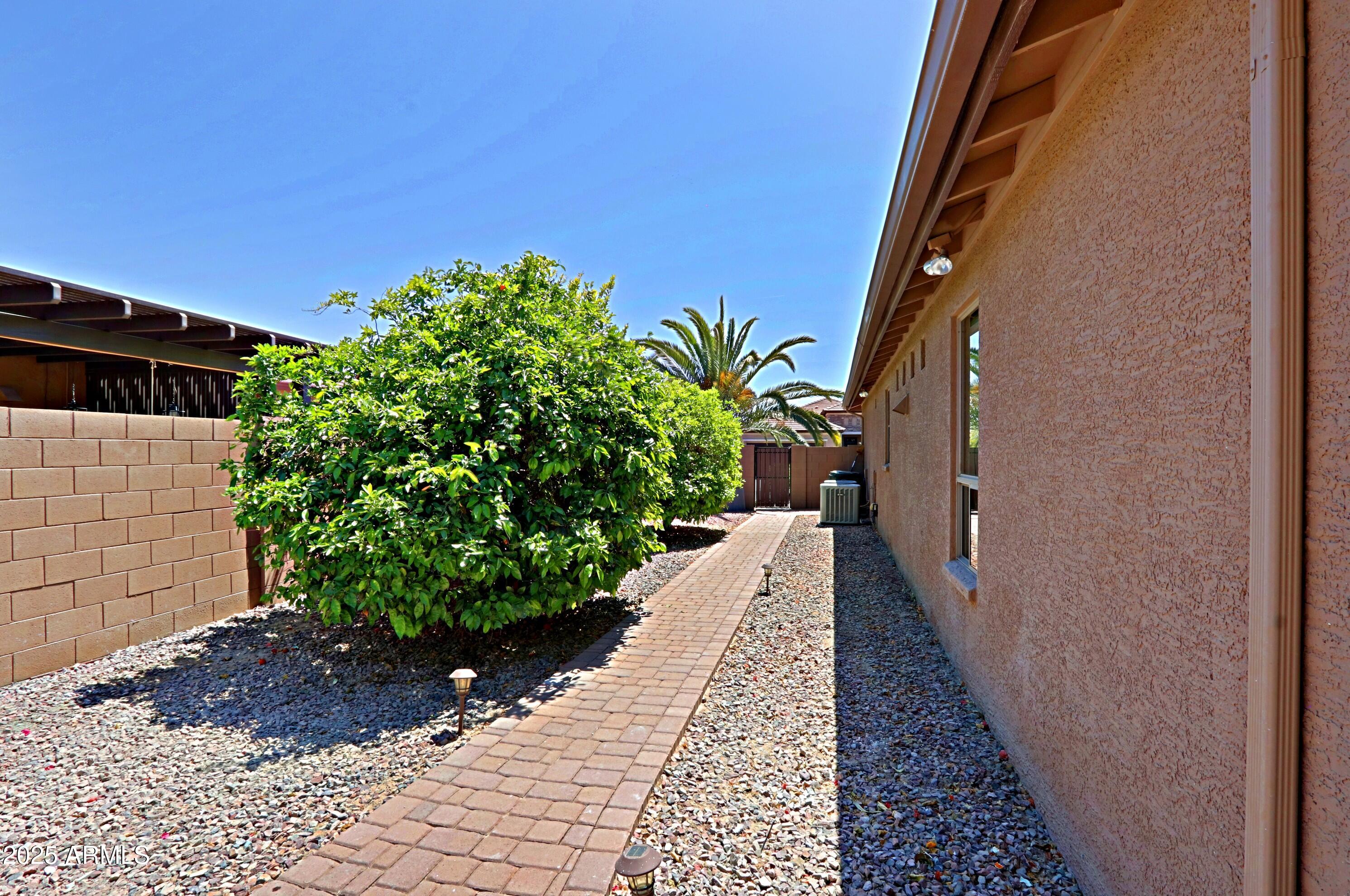 16370 West Granada Road Goodyear, AZ 85395 - Photo 57 of 61 East Side YardFruit Trees