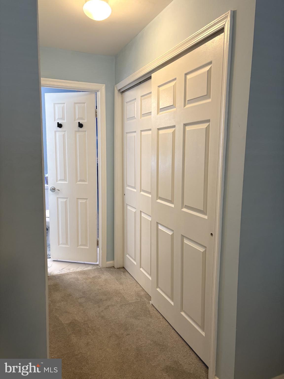 10 Fallen Tree Court, Unit 204 Halethorpe, MD 21227 - Photo 14 of 22 Primary bedroom his closet