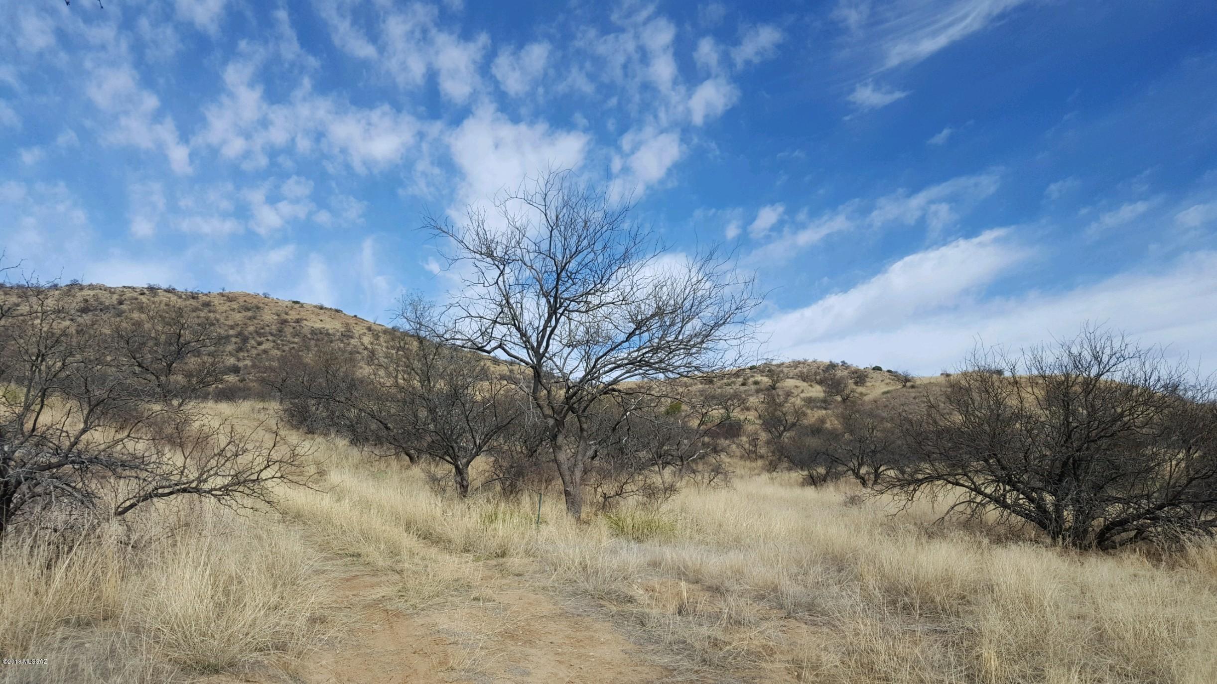 17471 East Hillton Ranch Road Vail, AZ 85641 - Photo 12 of 20