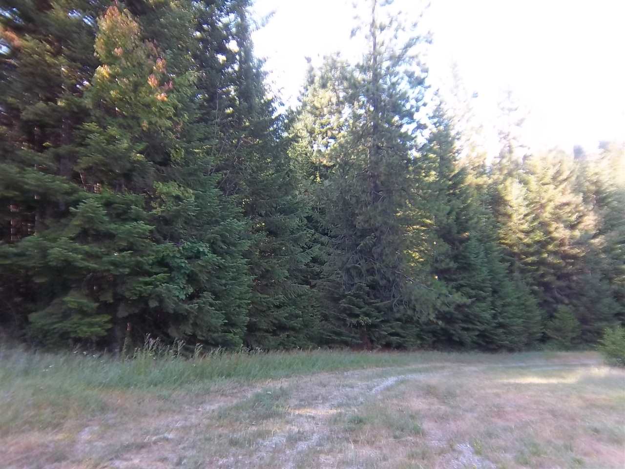22231 North Travis Road Mead, WA 99021 - Photo 2 of 5
