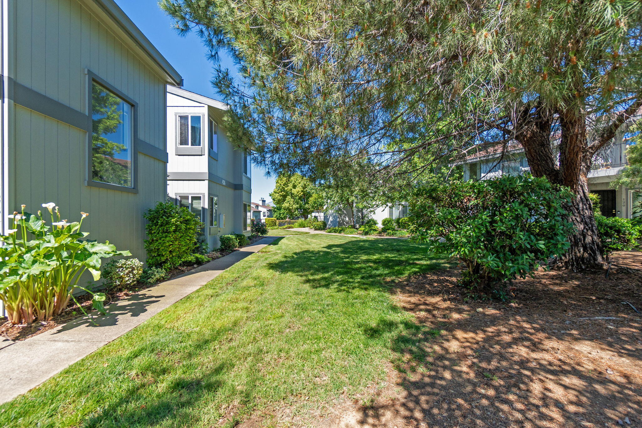 426 Ridgecrest Trail, Unit 223 Redding, CA 96003 - Photo 40 of 59 a view of a house with a yard