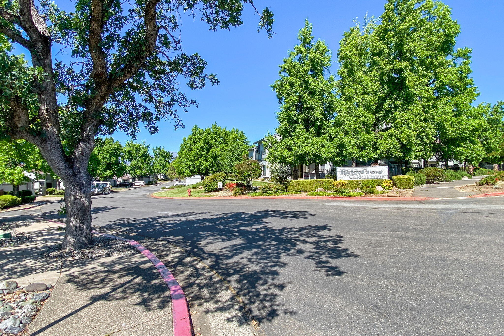 426 Ridgecrest Trail, Unit 223 Redding, CA 96003 - Photo 51 of 59 a view of a swimming pool with a yard