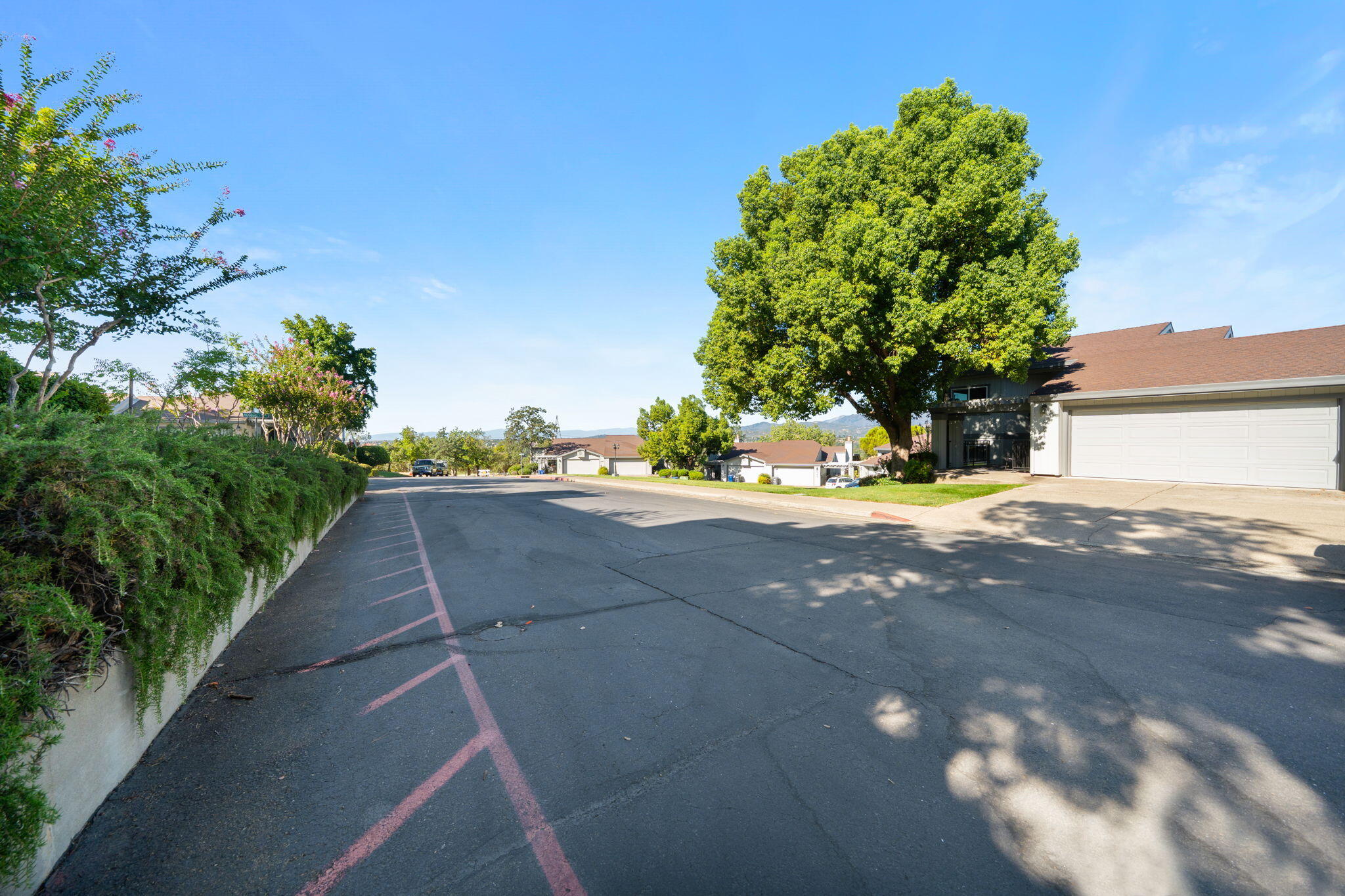 426 Ridgecrest Trail, Unit 223 Redding, CA 96003 - Photo 55 of 59 a view of path and green space