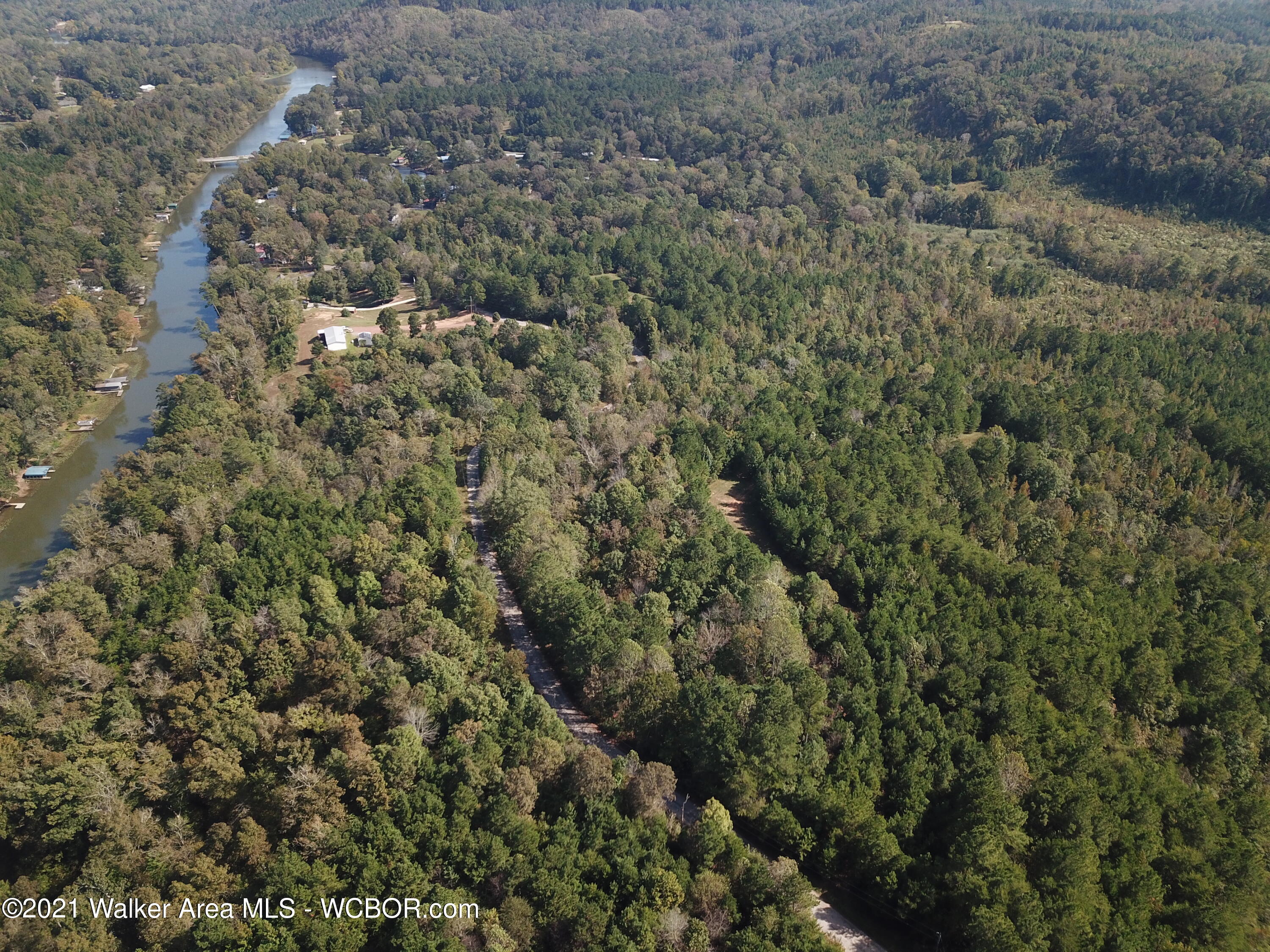 Quail Road Parrish, AL 35580 - Photo 10 of 31 Gallery Image 10