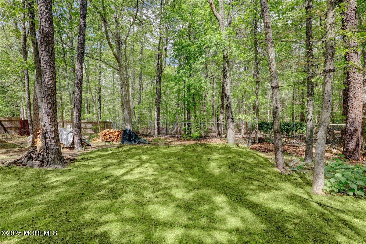 165 Cassville Road Jackson, NJ 08527 - Photo 23 of 24 a view of outdoor space and yard