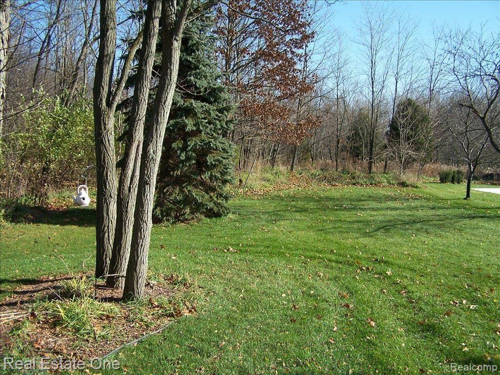 11055 Tree Line Drive Pinckney, MI 48169 - Photo 3 of 25 back yard pic 1