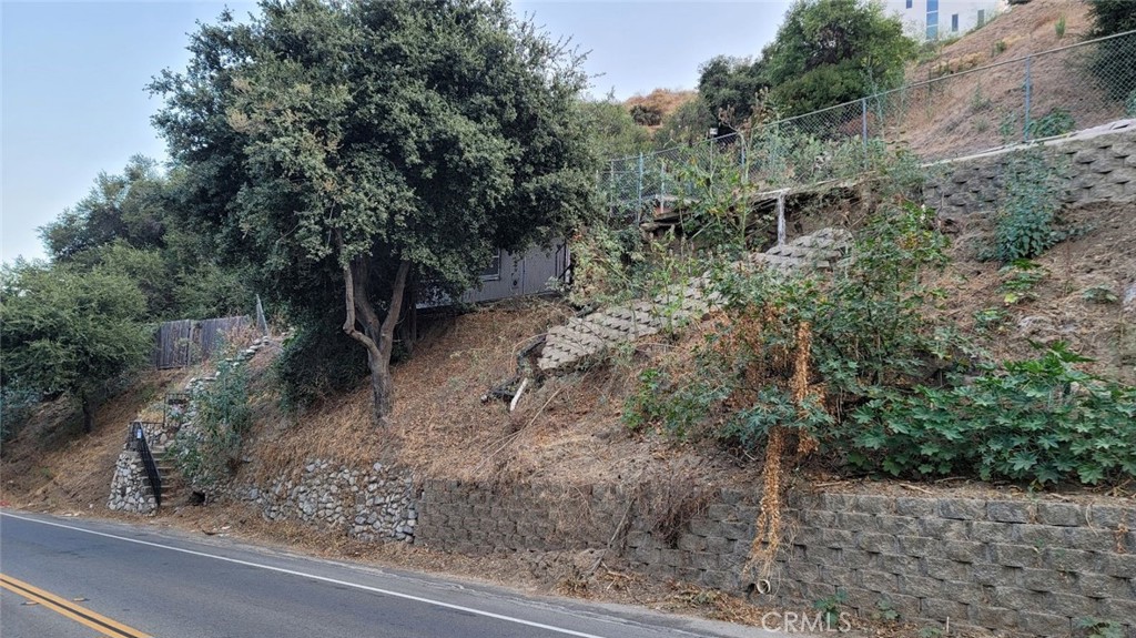 12047 Kagel Canyon Road Sylmar, CA 91342 - Photo 5 of 14 a view of a dry yard with trees