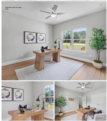 a living room with furniture and potted plant