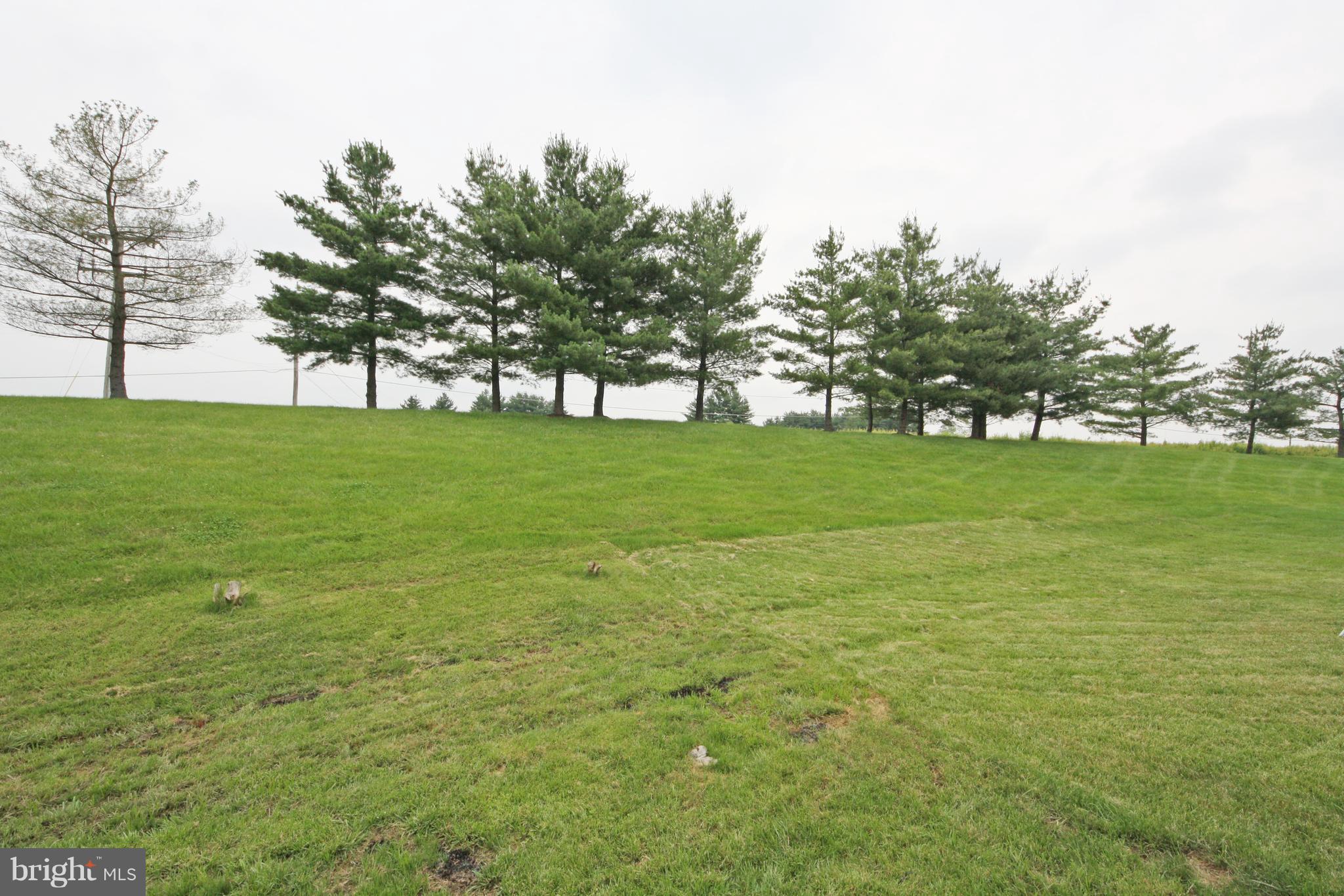 2152 Cedar Barn Way Baltimore, MD 21244 - Photo 28 of 29 a view of a field with a tree in the background