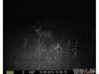 101 A Box Fillmore, IL 62032 - Photo 15 of 23 Gallery Image 15
