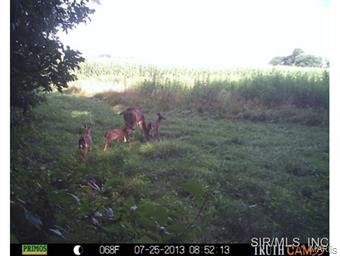 101 A Box Fillmore, IL 62032 - Photo 16 of 23 Gallery Image 16