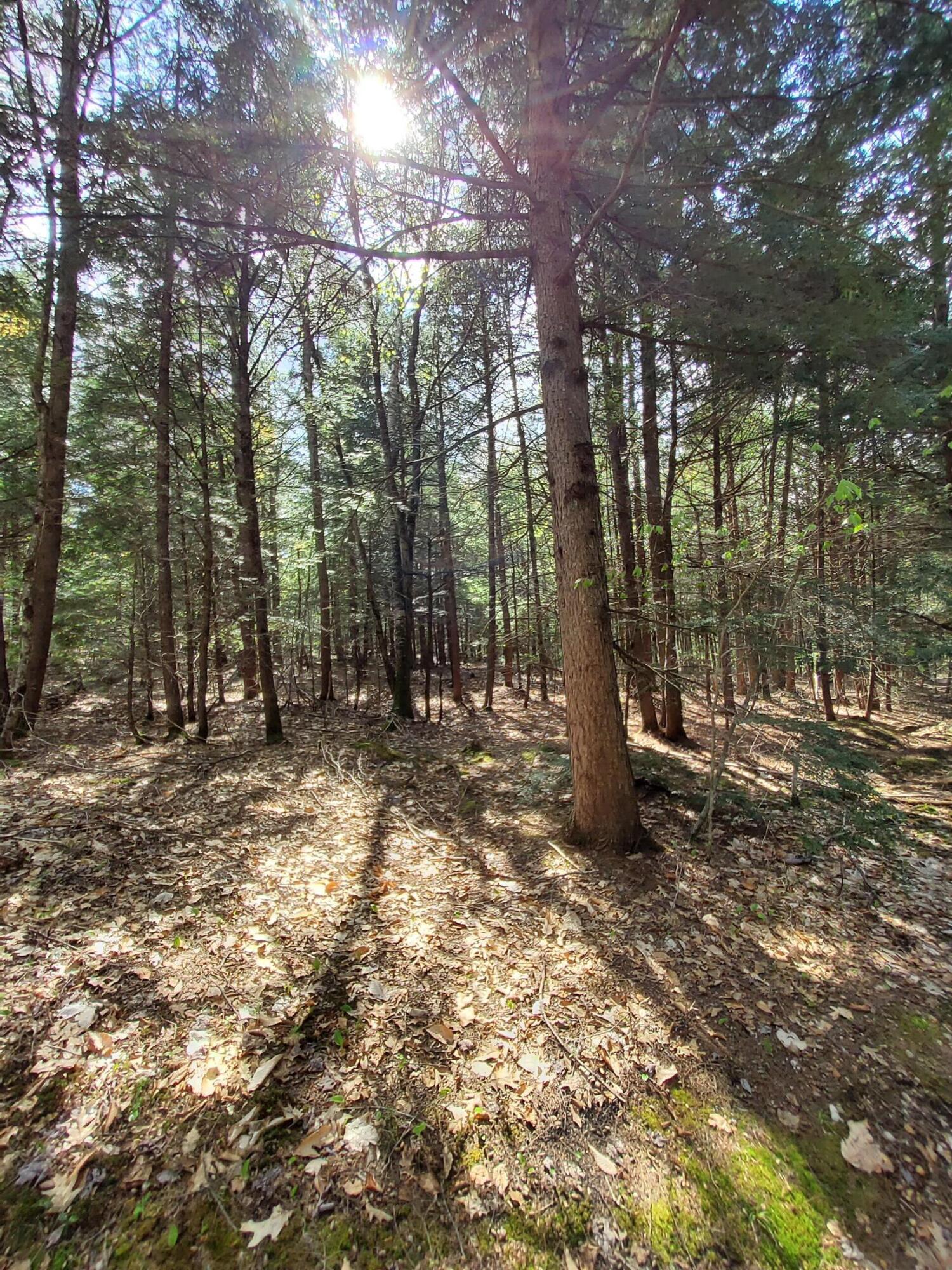 1729 Federal Road Livermore, ME 04253 - Photo 29 of 29