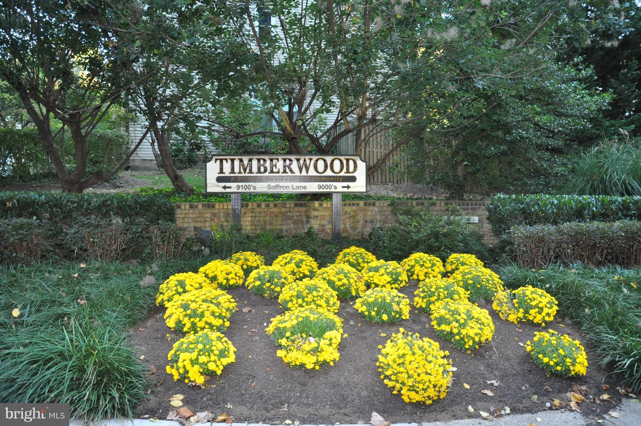 9125 Saffron Lane Silver Spring, MD 20901 - Photo 2 of 18 a view of a bunch of flowers