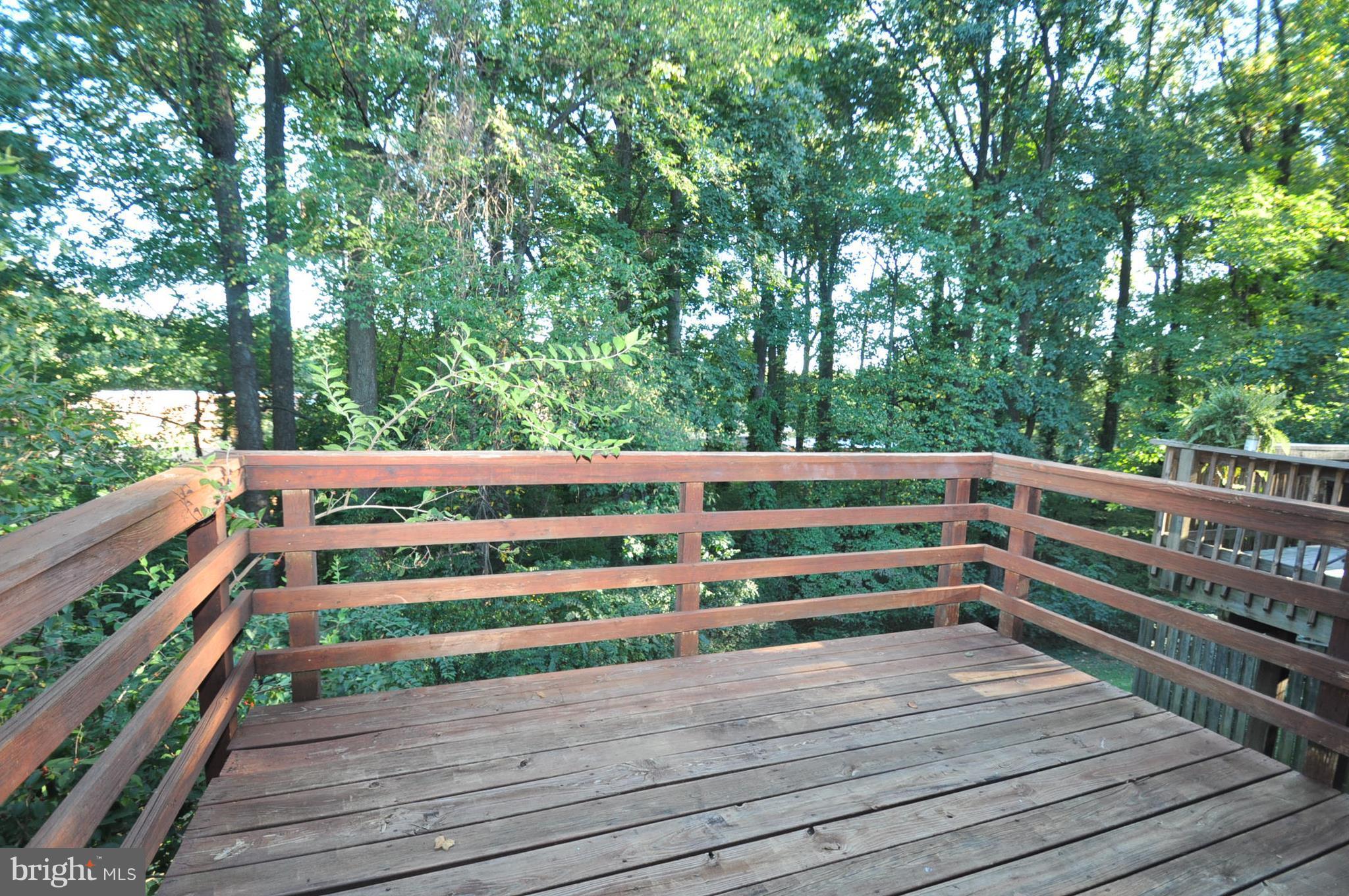 9125 Saffron Lane Silver Spring, MD 20901 - Photo 3 of 18 a view of deck with trees