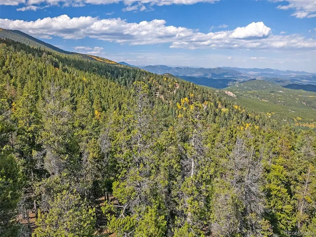 a view of a field with an ocean