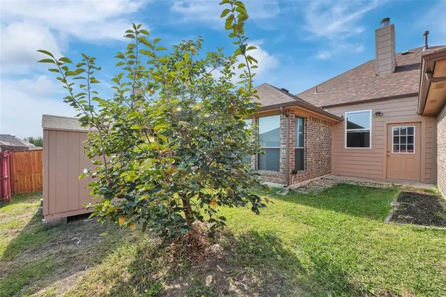a backyard with plants