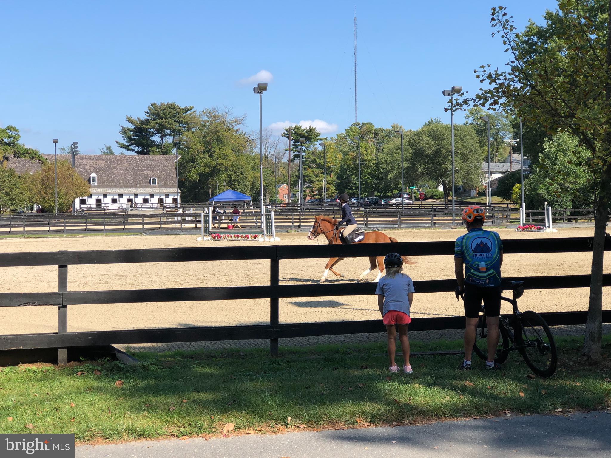 3303 Rolling Road Chevy Chase, MD 20815 - Photo 45 of 51 a view of a bench in the backyard of a house