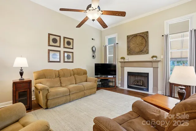 a living room with a fireplace and a potted plant