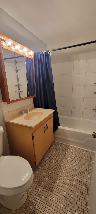 1832 Goodwin Drive, Unit 3A Palatine, IL 60074 - Photo 9 of 9 a bathroom with a sink toilet and shower