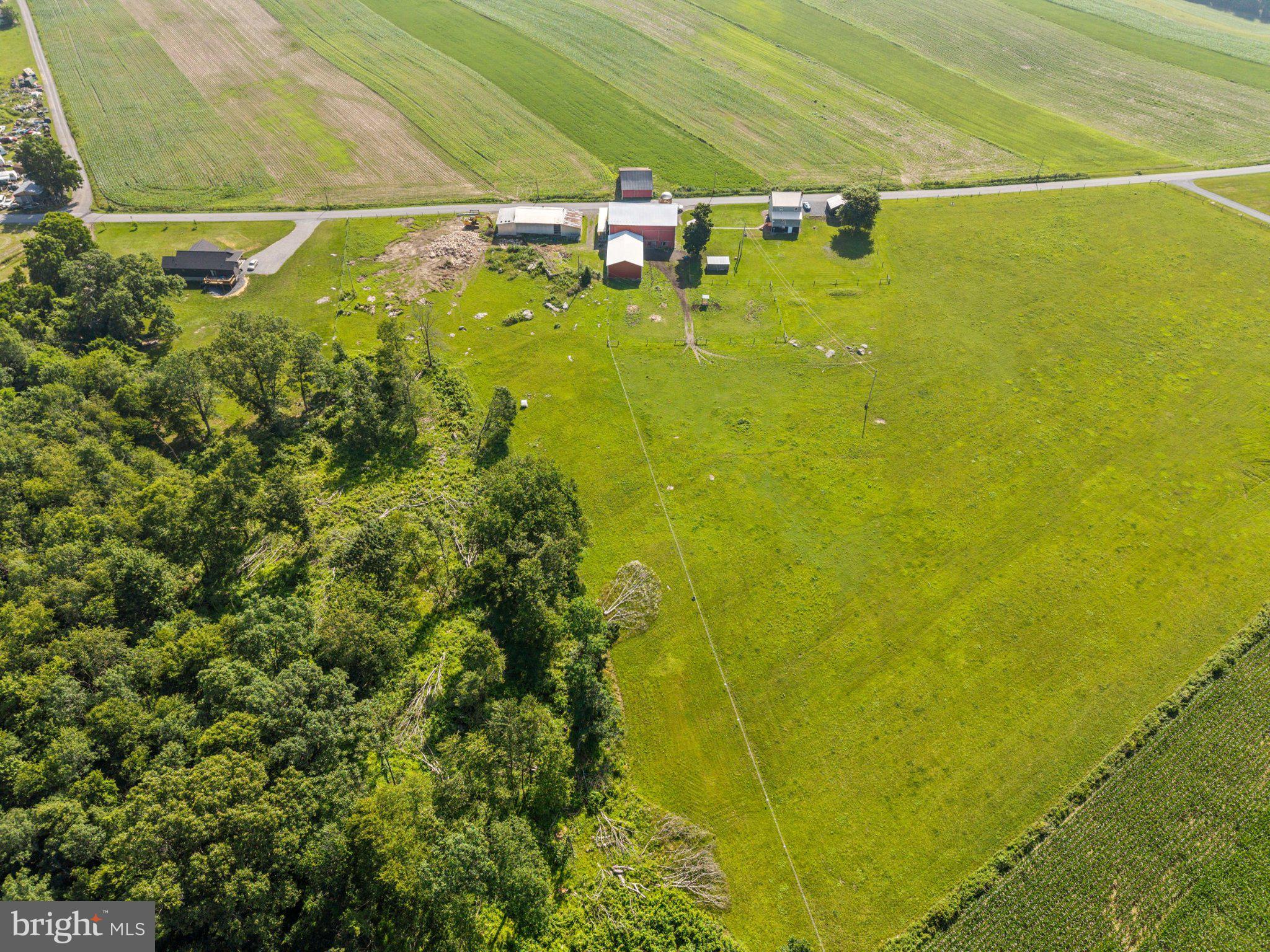 901 Mt Hope Road McVeytown, PA 17051 - Photo 38 of 44 Expansive farmland meets serene woods.
