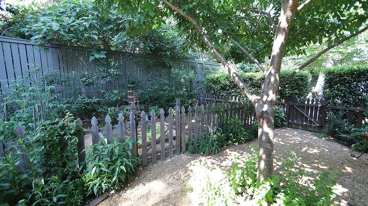 1823 St Marys Street Raleigh, NC 27608 - Photo 8 of 54 Guest house garden