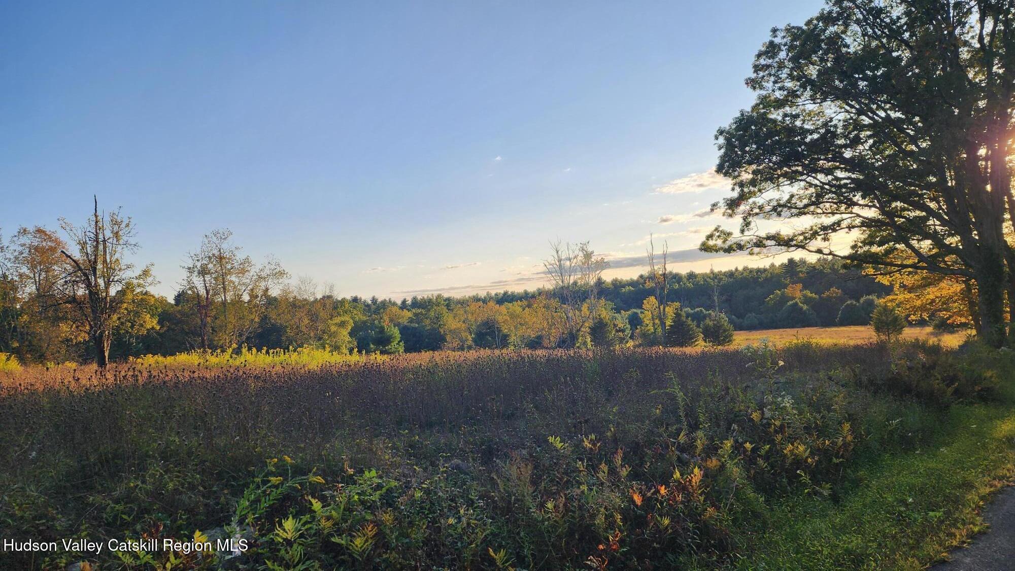 a view of a yard and a lake view