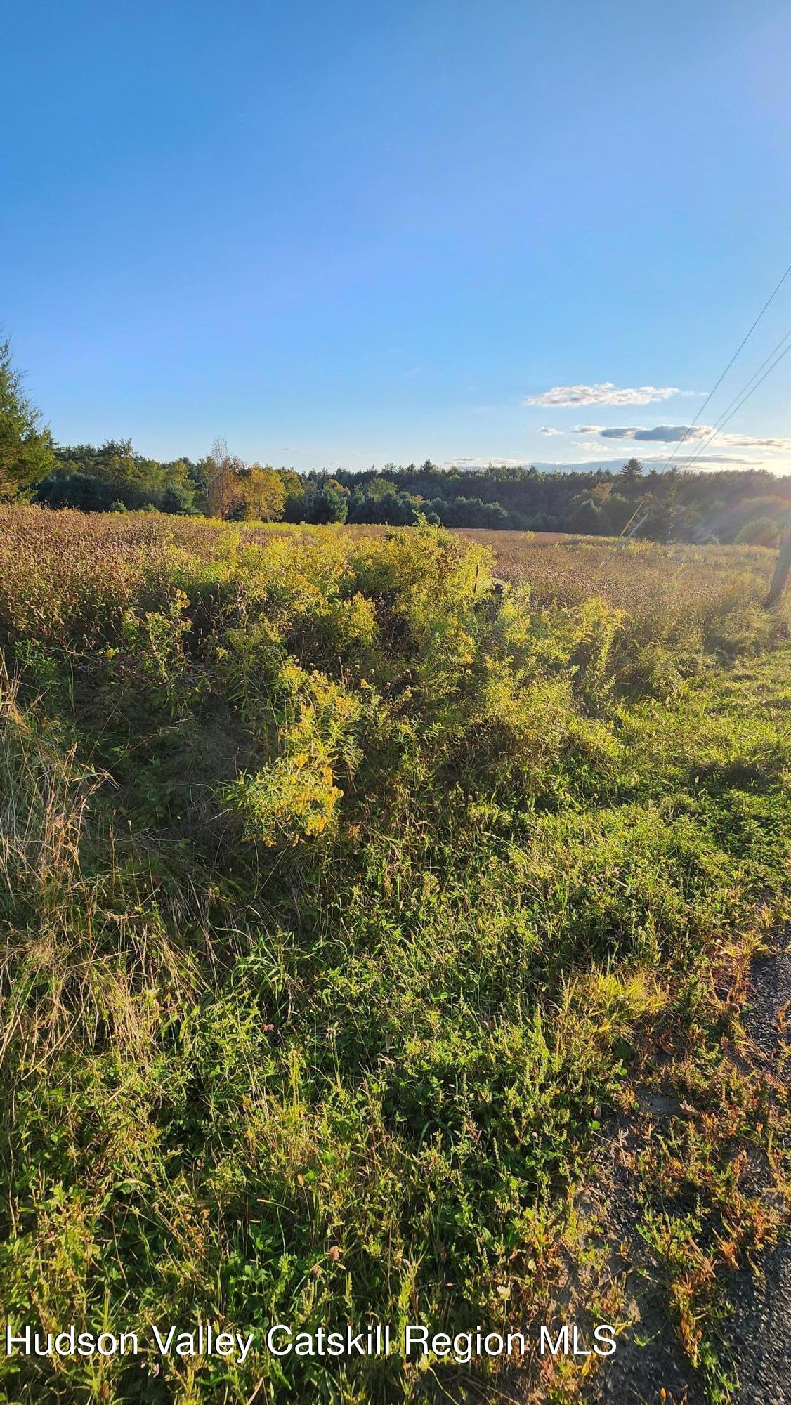 647 Irish Cape Road Wawarsing, NY 12428 - Photo 2 of 5 a view of an ocean