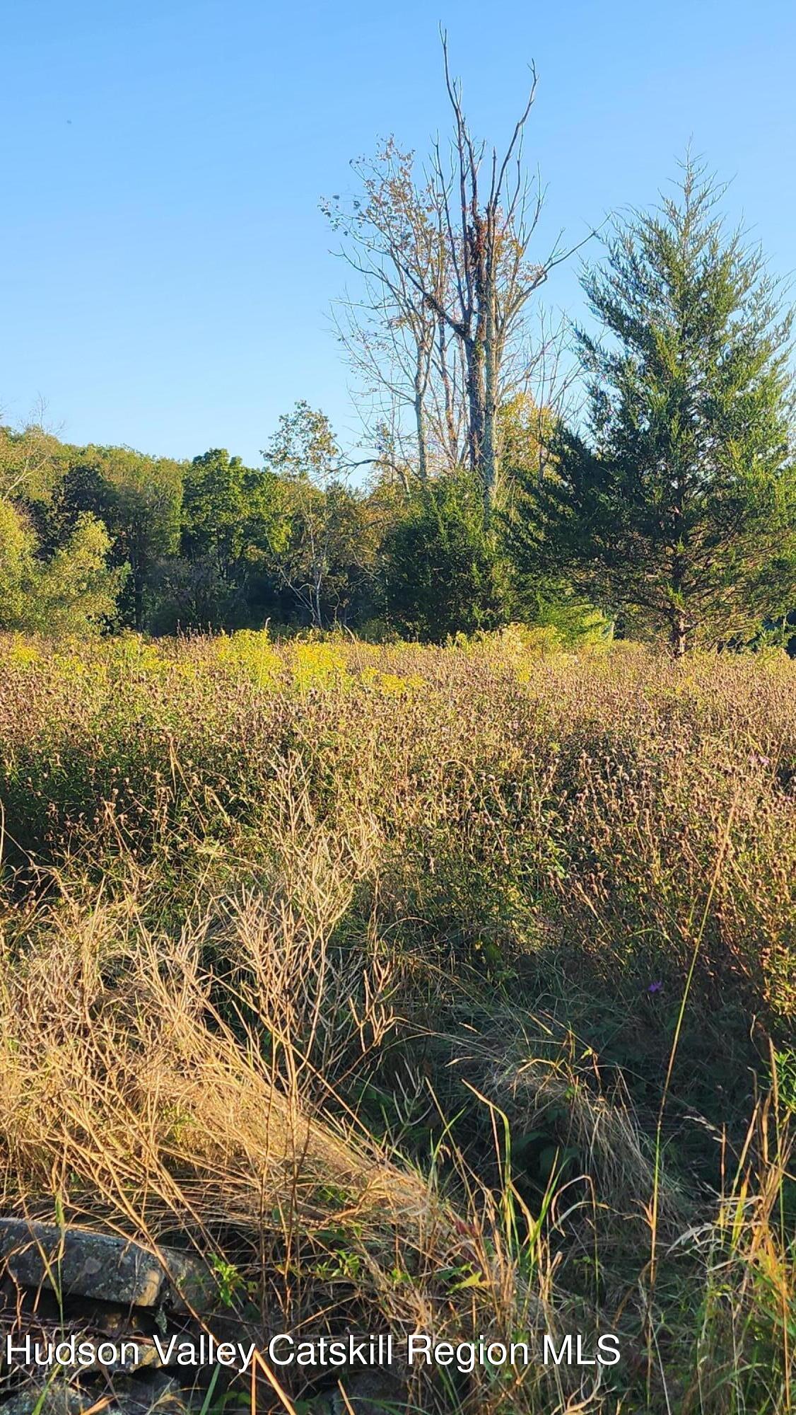 647 Irish Cape Road Wawarsing, NY 12428 - Photo 3 of 5 a view of a lake