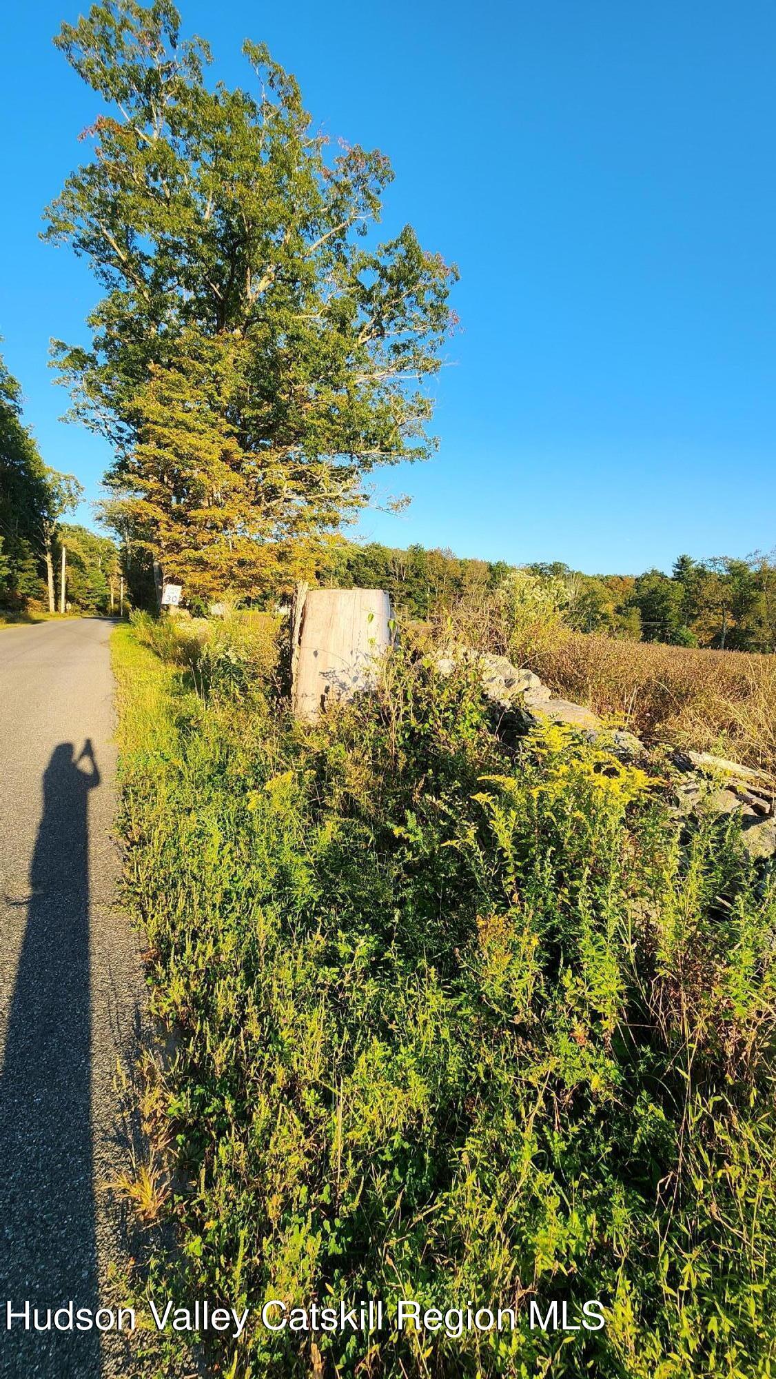 647 Irish Cape Road Wawarsing, NY 12428 - Photo 4 of 5 a view of ocean