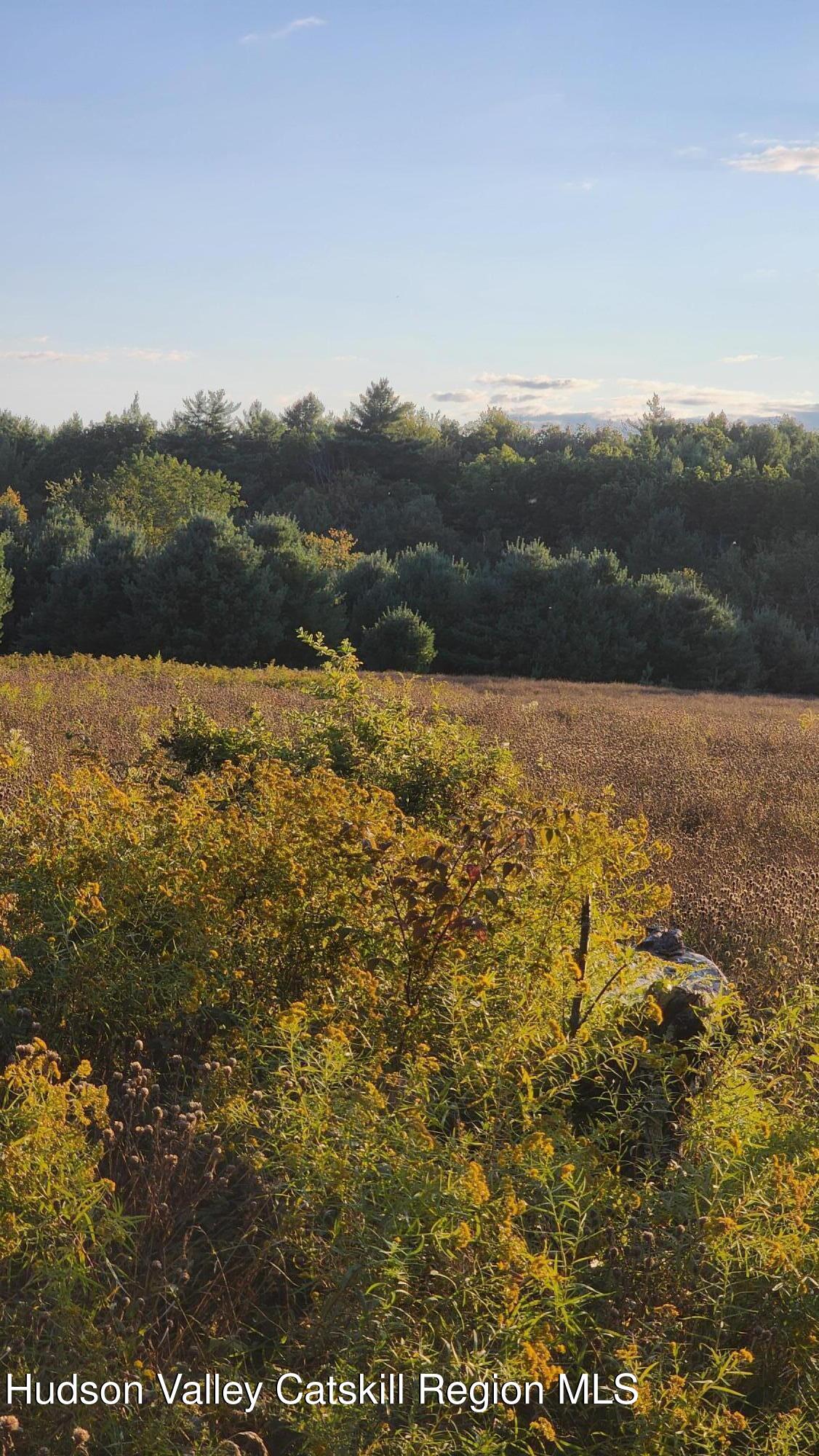 647 Irish Cape Road Wawarsing, NY 12428 - Photo 5 of 5 a view of an ocean