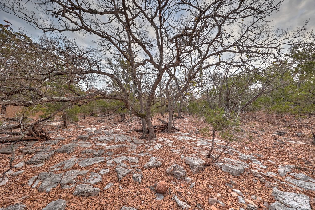 438 Yellowstone Lane Hunt, TX 78024 - Photo 17 of 44