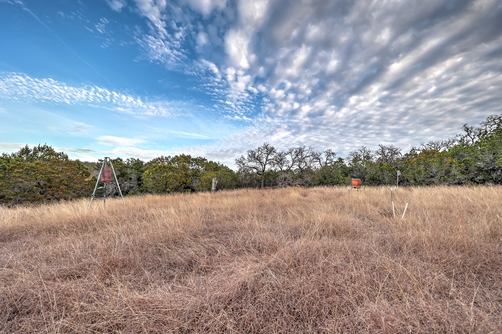 438 Yellowstone Lane Hunt, TX 78024 - Photo 24 of 44