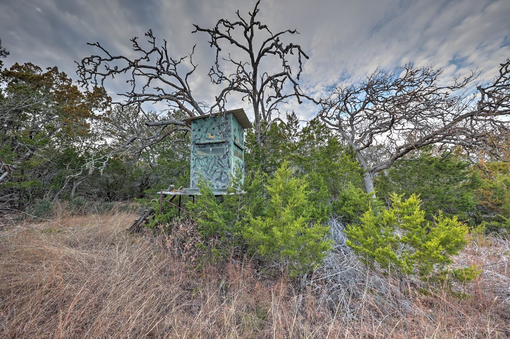 438 Yellowstone Lane Hunt, TX 78024 - Photo 28 of 44