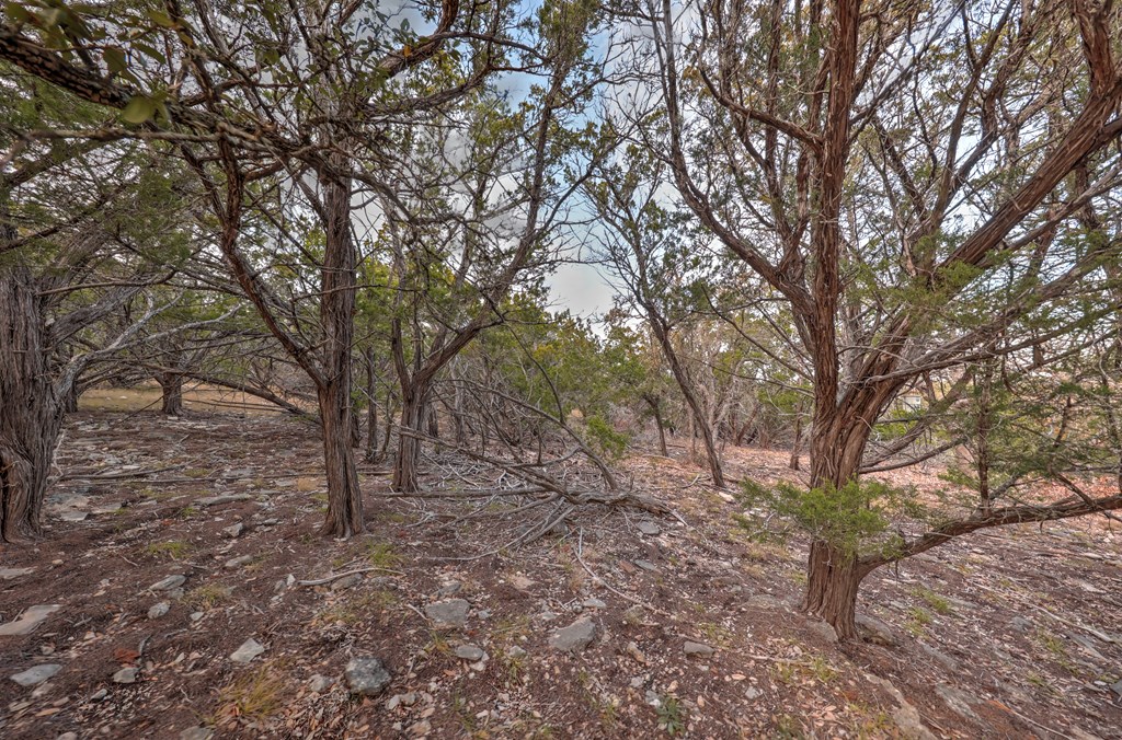 438 Yellowstone Lane Hunt, TX 78024 - Photo 31 of 44