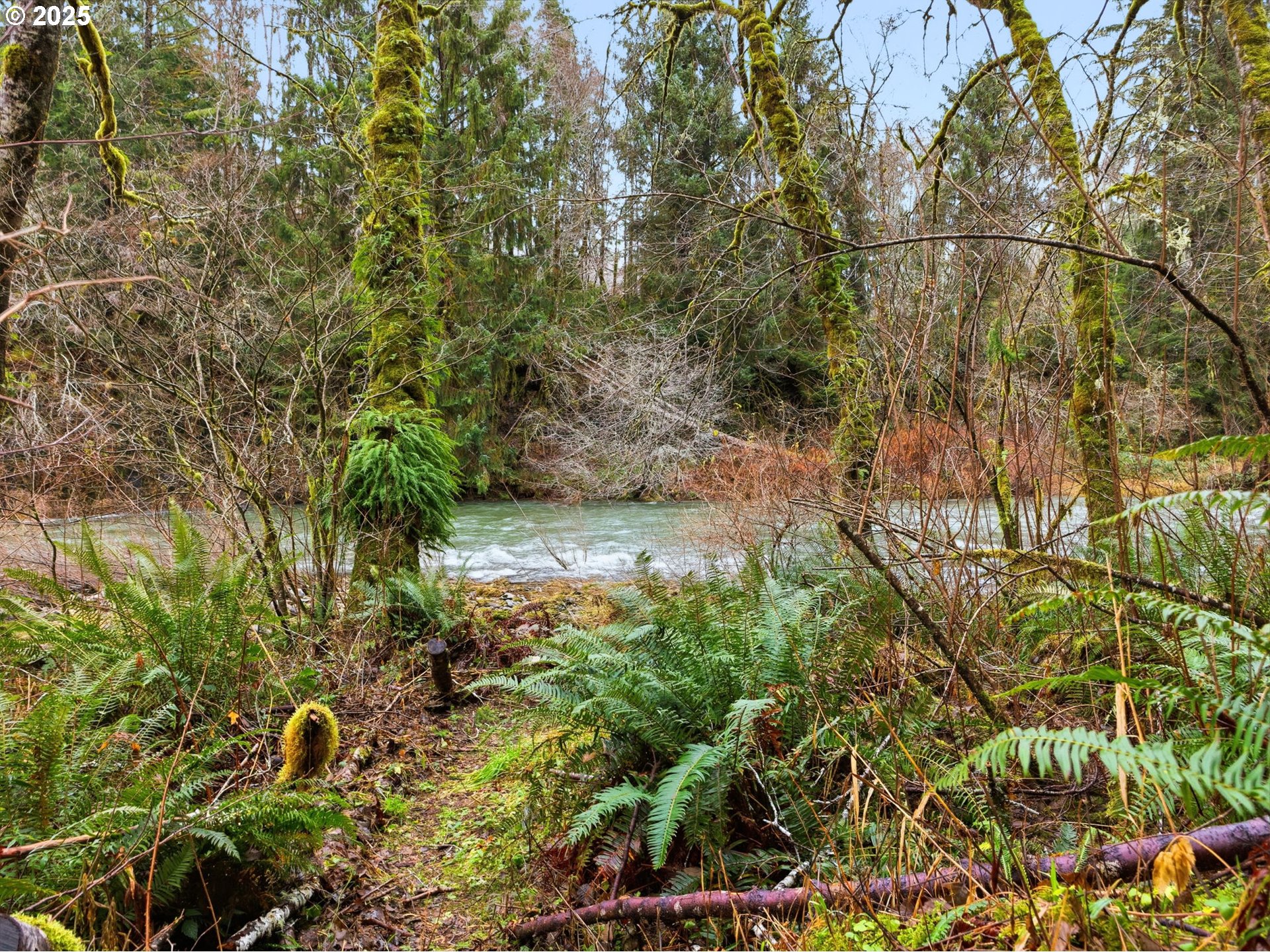78506 Highway 53 Nehalem, OR 97131 - Photo 11 of 48 a backyard of a house with lots of green space