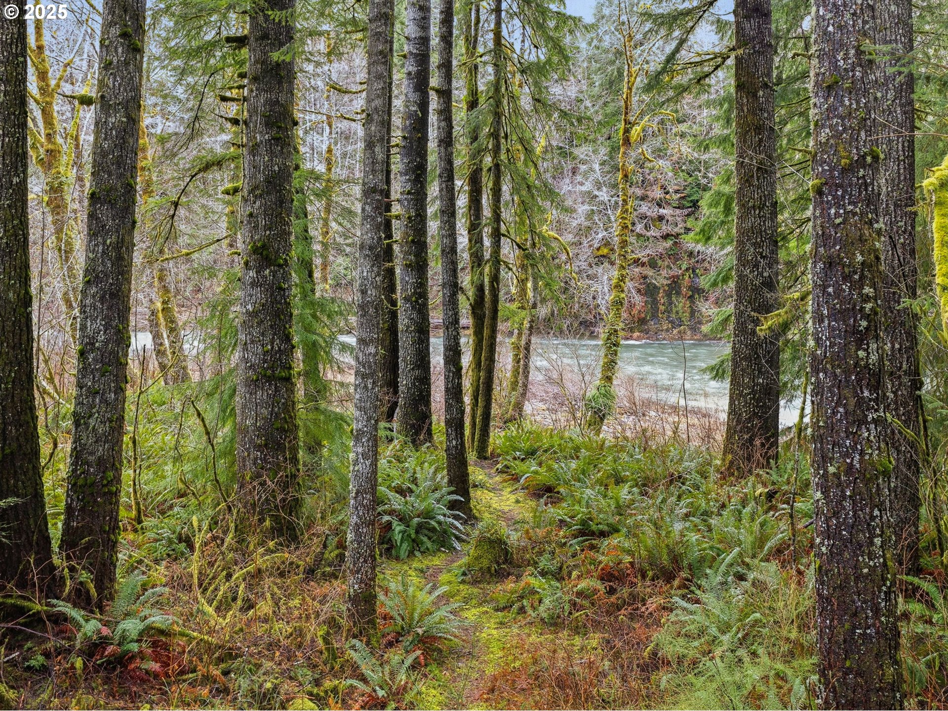 78506 Highway 53 Nehalem, OR 97131 - Photo 12 of 48 a view of a garden