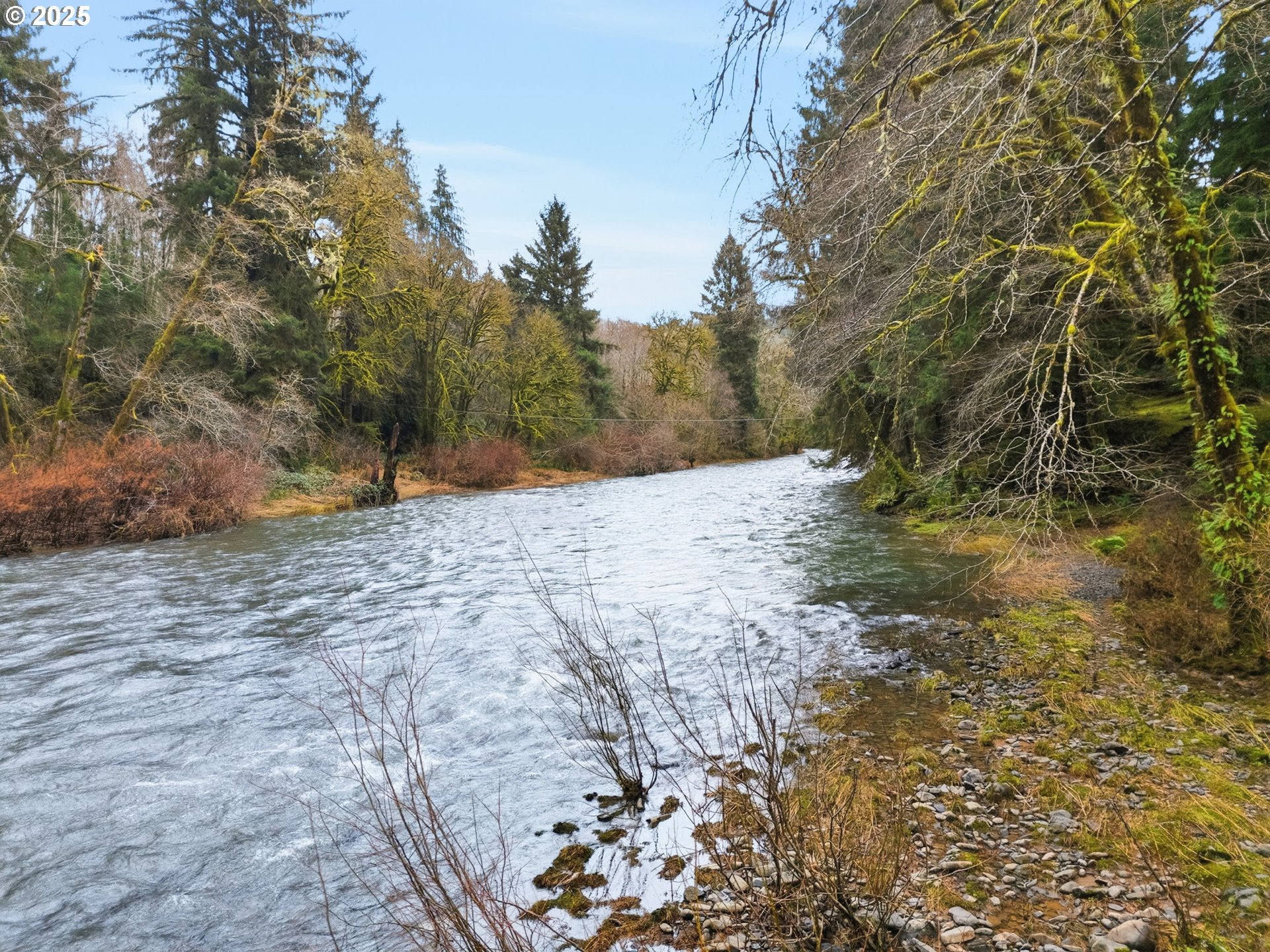 78506 Highway 53 Nehalem, OR 97131 - Photo 13 of 48 a view of a backyard of a house
